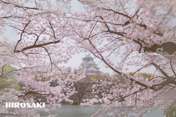 hirosaki castle