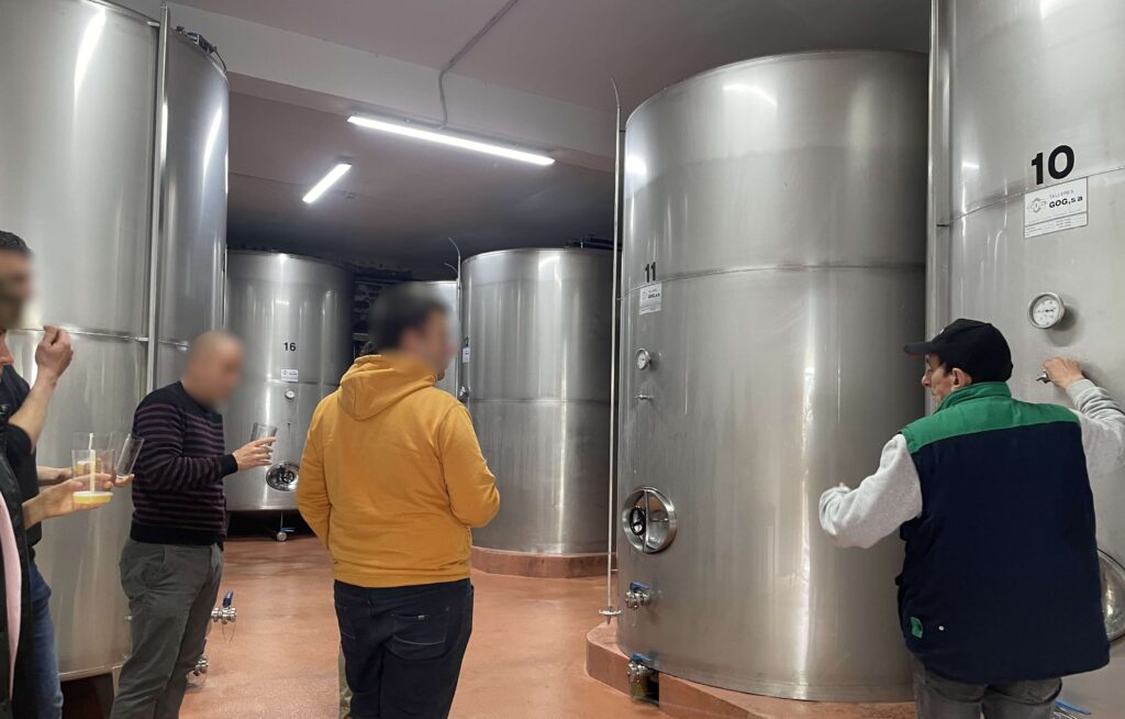 ステンレスタンクのシードルの試飲の様子