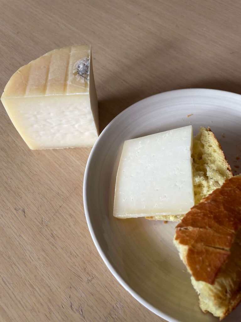 イディアサバルチーズのサンドイッチ