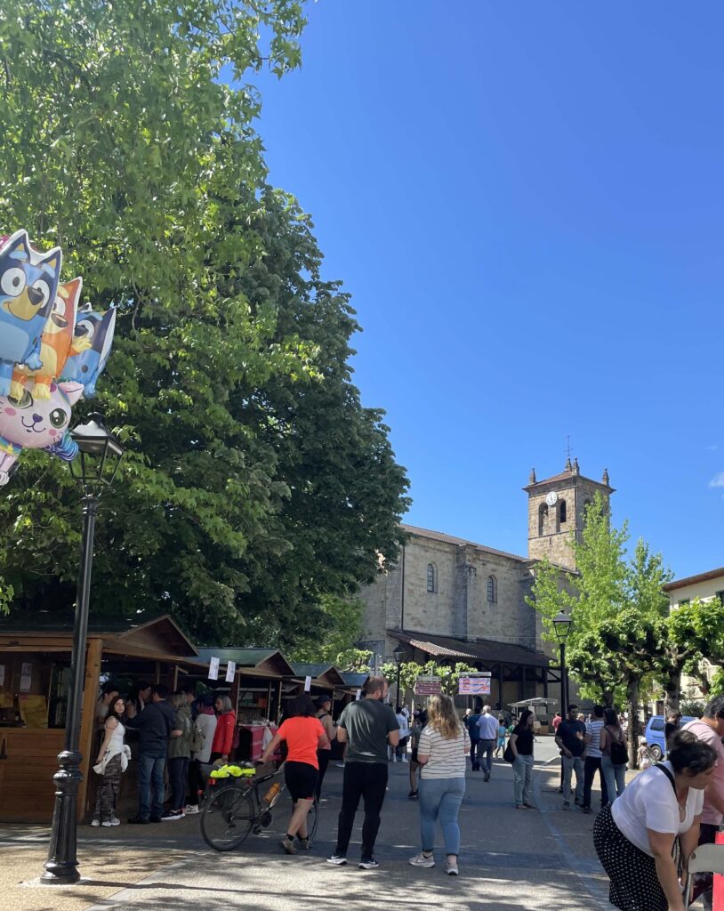 イディアサバルチーズ祭り会場入り口付近の様子