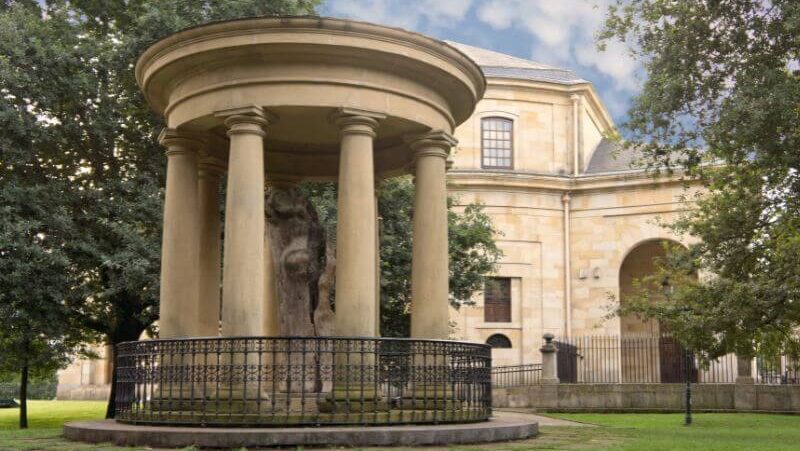 ゲルニカ議事堂の樫の木